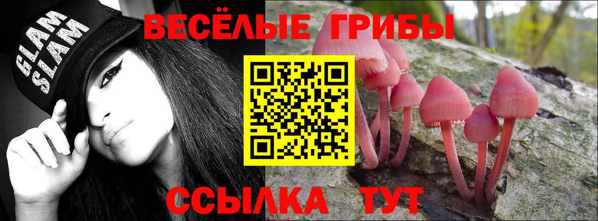 закладки  Галлюциногенные грибы Magic Shrooms  Вход с VPN  Златоуст 