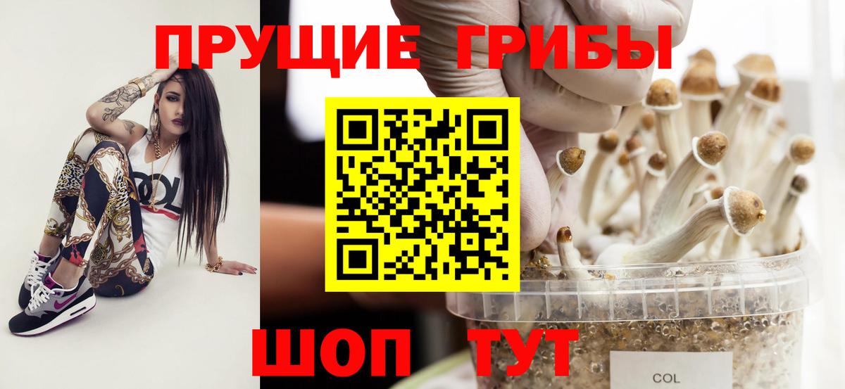 Псилоцибиновые грибы мицелий Златоуст